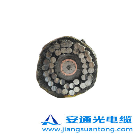 GYTA53-333|,OPPC|SADSS|r24оOPGW|