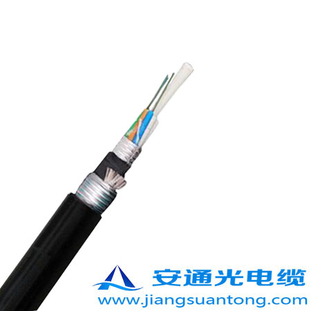 GYFTA53光纜,OPPC光纜廠家，ADSS光纜價(jià)格，24芯OPGW光纜